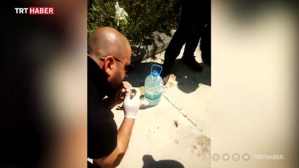 Yanan konteynerdeki kedi yavruları suni teneffüsle kurtarıldı