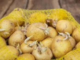 Is It Safe to Eat Sprouted Potatoes?
