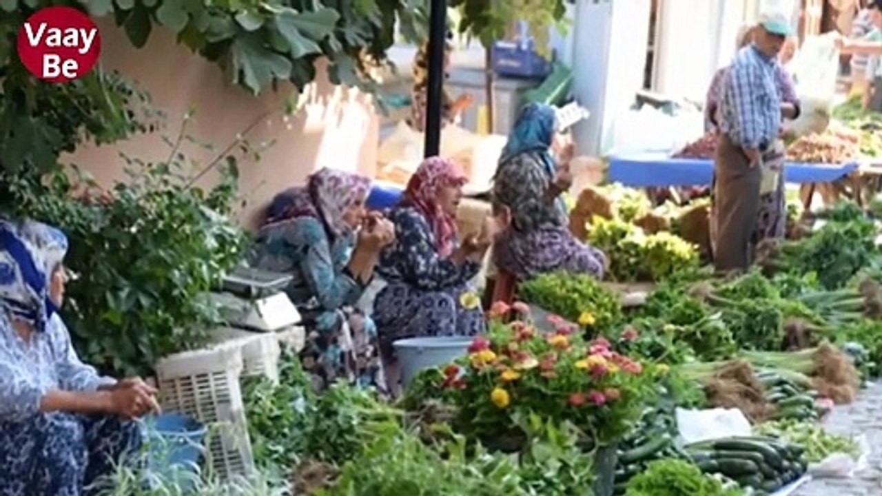 Türkiye ve Türk İnsanı Hakkında İlginç Bilgiler