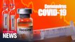 WHO says it's working with team of experts to speed up development of COVID-19 vaccine