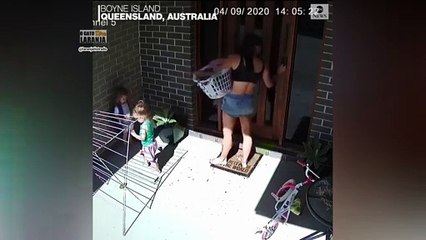 Cobra venenosa surpreende mãe e filhas na Austrália