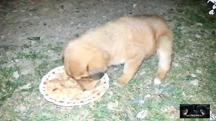Woodturning - A Coffee Mug - Hello everyone I live in a small village in North ...