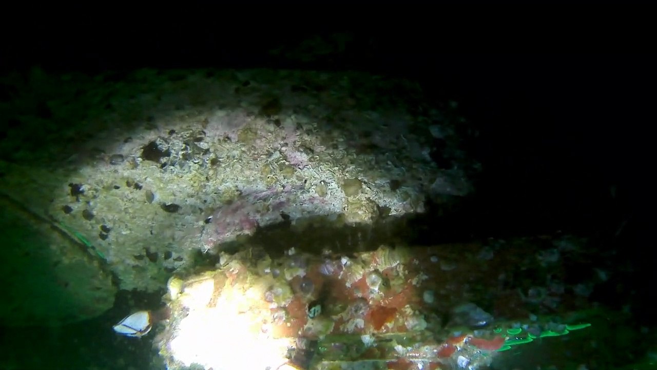 Diving 13