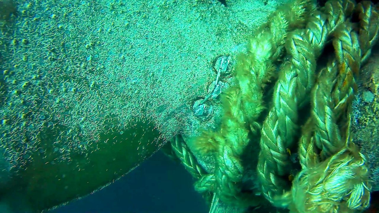 Diving 16