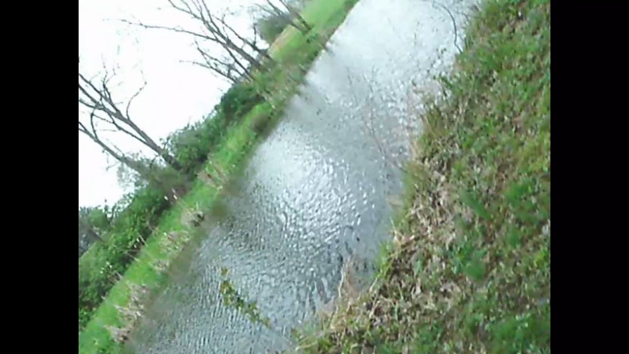 Out for a Run