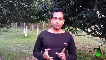 कंज्यूमर कोर्ट में शिकायत कैसे करें, How to register complaint in Consumer Court, कंज्यूमर  कोर्ट कब जाए