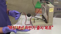 [YTN 실시간뉴스] 