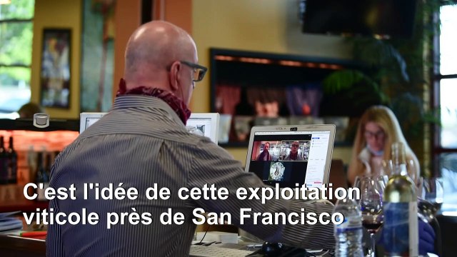 Coronavirus: des dégustations de vin à distance en Californie