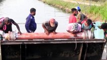 Villagers use makeshift rope ladder to rescue trapped elephant from canal in Sri Lanka