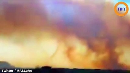 Tchernobyl : Greenpeace annonce que le feu de forêt n'est qu'à "1,5 kilomètre" de la centrale