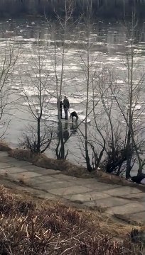 3 enfants descendent une rivière en se tenant sur un bloc de glace.