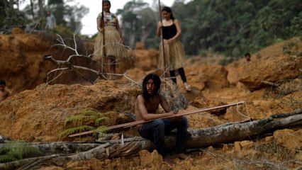 Virus imperils Amazon deforestation, Brazil's indigenous tribes