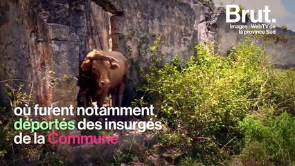 "L'île la plus proche du paradis", un lieu d'exception en Nouvelle-Calédonie