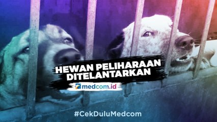 Khawatir Tertular Covid-19, Warga Mesir Telantarkan Hewan Peliharaan