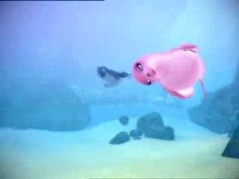 Silly le petit phoque