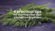 Tip Tuesday _ Gardening _ Stay Safe Stay Home _ Quarantine _ Seed Cold Storage _ Jam Jam Group