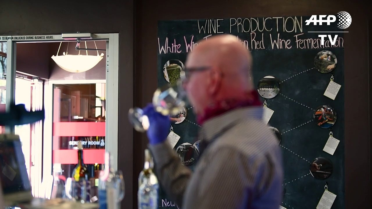 Zum Wohl: Kalifornische Winzer bieten Online-Weinproben an