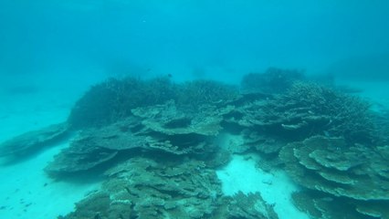 Pointe d'Esny en dérive jusqu'au Preskil Island Resort