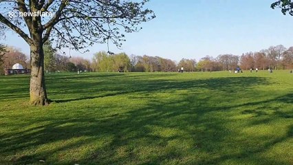 Lads play cricket in UK park defying country's COVID-19 lockdown guidelines