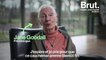 "Vivre en paix et en harmonie ensemble" : le cri d'alerte de Jane Goodall sur la situation des animaux sauvages