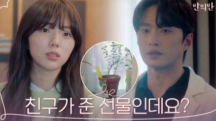 "화분 누가 줬어요?" 김성규 물음에 채수빈 대답은?
