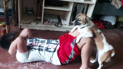 Doggy Helps With Quarantine Exercise