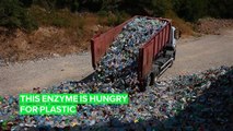 Scientists have 'engineered' an enzyme that devours plastic!