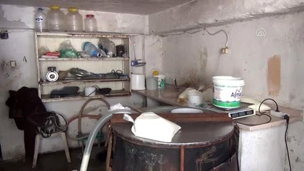 Ruhsatsız süt işleme tesisi kapatıldı