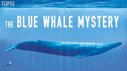 5 Most Mysterious and Unexplained Oceanic Mysteries