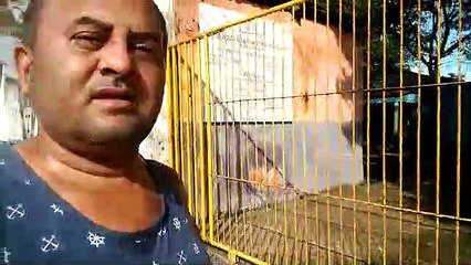 Mestre Leone no portão do Alzan do Amanhecer