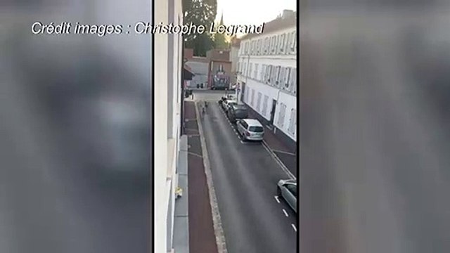 Coronavirus: près de Paris, la promenade de deux daims dans une rue déserte