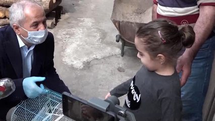 Zeynep Yaren'in "muhabbet kuşu" talebini belediye başkanı yerine getirdi