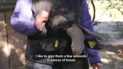 To Raise and Rise - extract 1