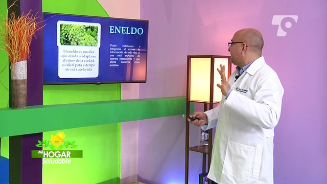 LAS ESENCIAS FLORALES Y LAS TERAPIAS NATURALES