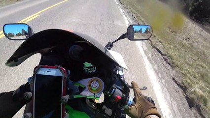 Motorcyclist Nearly Clips Deer Crossing Road