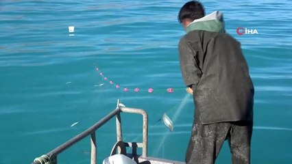 Van'da 3 aylık av yasağı başlıyor