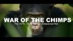 World War Chimp - The Brutal 1974 - 1978 Gombe Chimpanzee War: Documentary