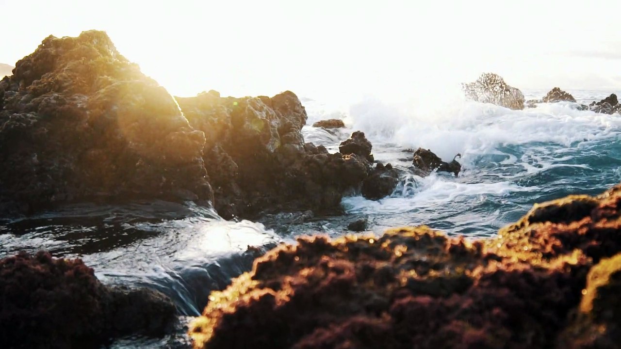Water Plashes