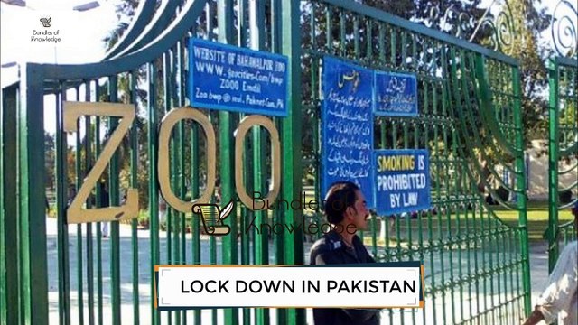 #lockdown In Pakistan #Coronavirus - Pakistan, Karachi not under lockdown | Bundles Of Knowledge