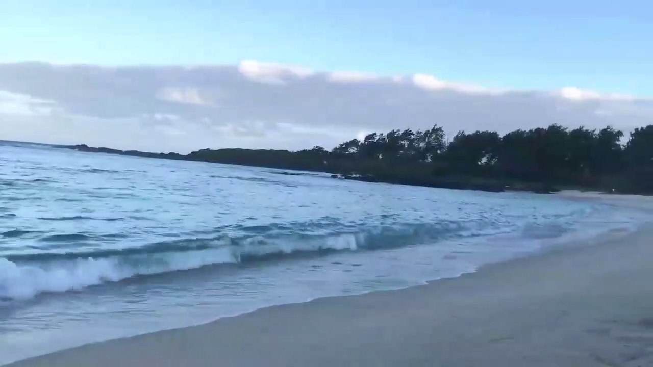 Calming seas  |Relaxing Ocean Waves Nature sounds Relaxation