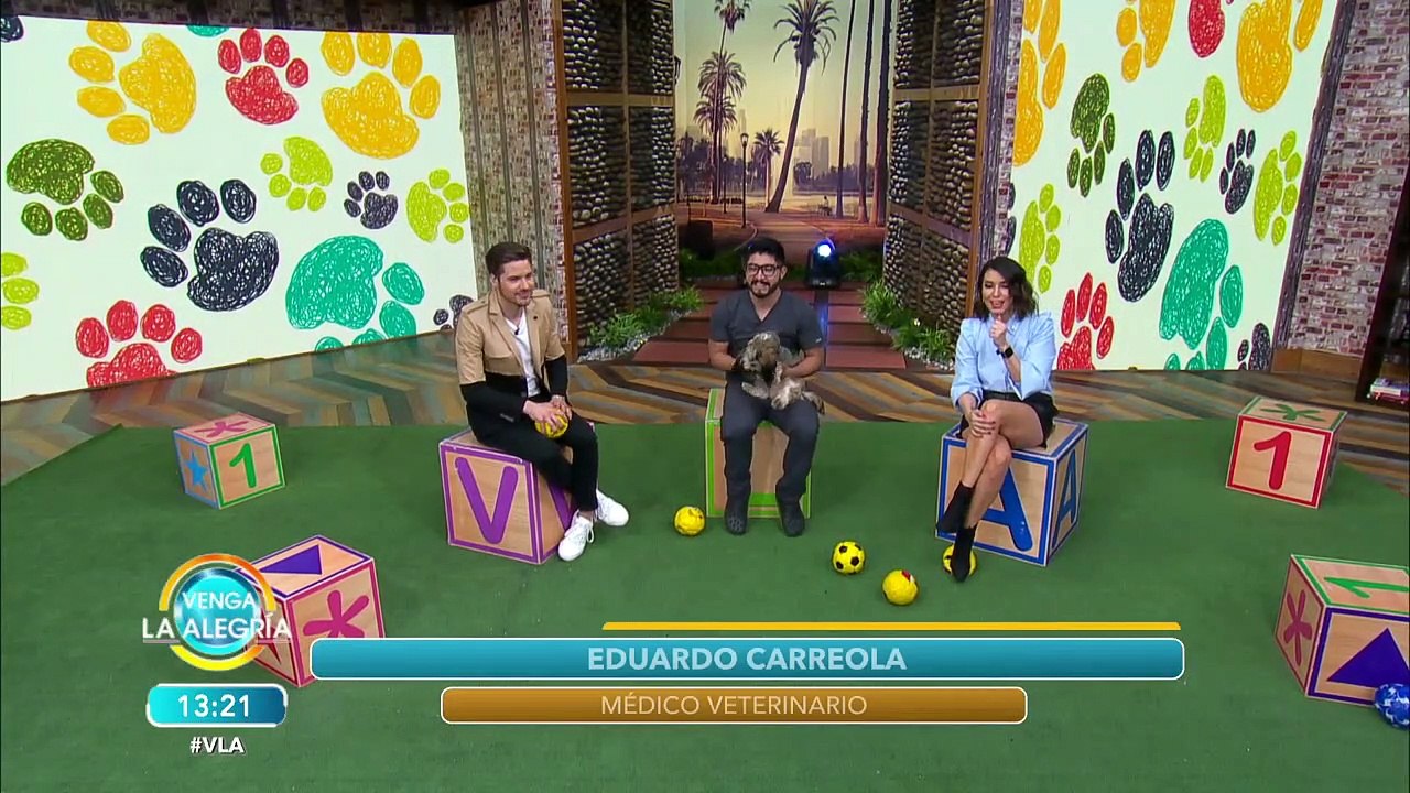 Estas son las enfermedades respiratorias más co...
