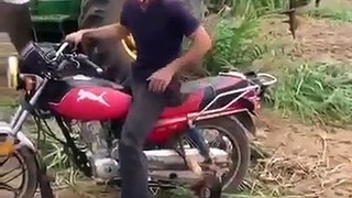 el mono con la moto