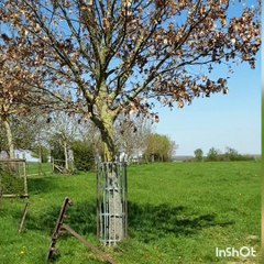Aufs große Feld