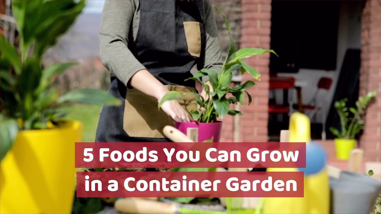 Food In A Container