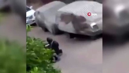 - Kahire'de polis ile silahlı grup arasında çatışma: 5 ölü