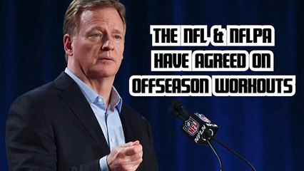 NFL, NFLPA Reportedly Agree Upon Virtual Offseason Workout Plan