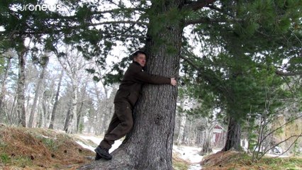 أحضنوا الشجر بدل البشر.. نصيحة آيسلندا في زمن المعاناة بسبب كورونا