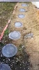 Quand le chien du voisin veut jouer à cache-cache