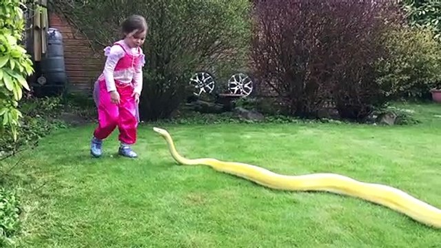 Cette fillette joue avec son python jaune... Même pas peur