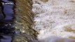 Satisfying slow-motion water flowing over a weir in the River Aire in UK